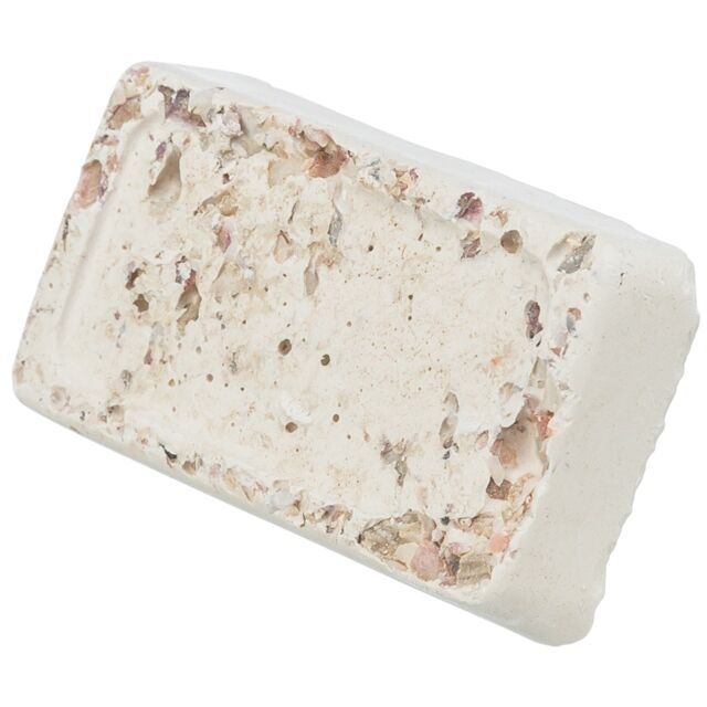 Piksteen met Schelpen Mineralen en Mosselen 30g