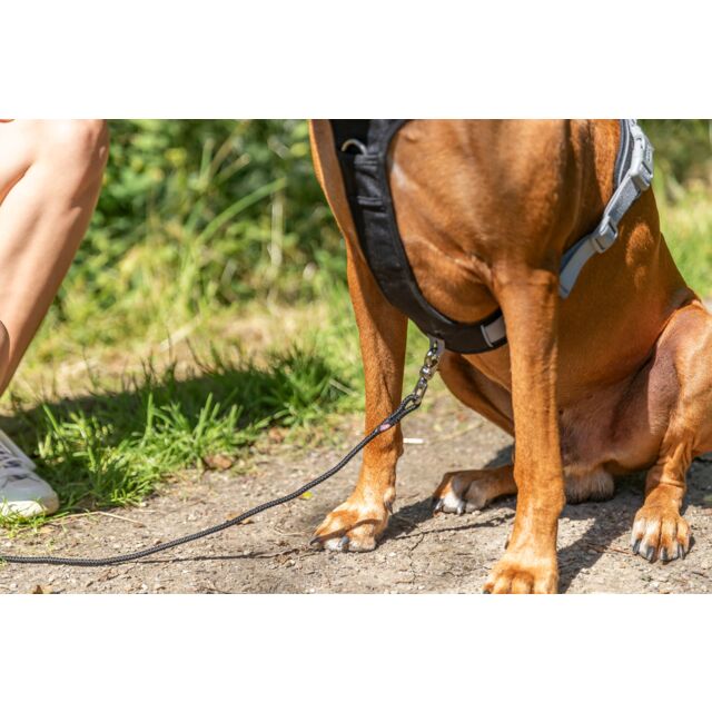 Premium Active Tuig Sangria