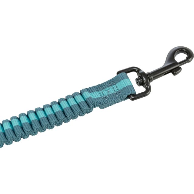 Jogging Lead