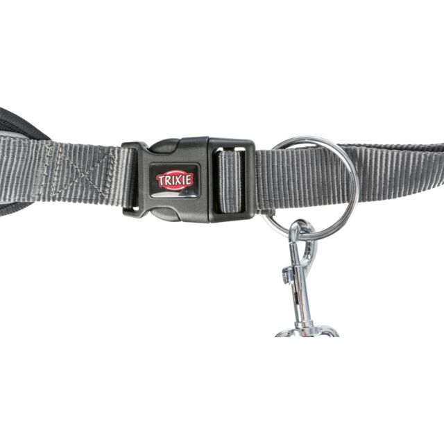 Waist Belt with Lead for Medium-Sized and Large Dogs