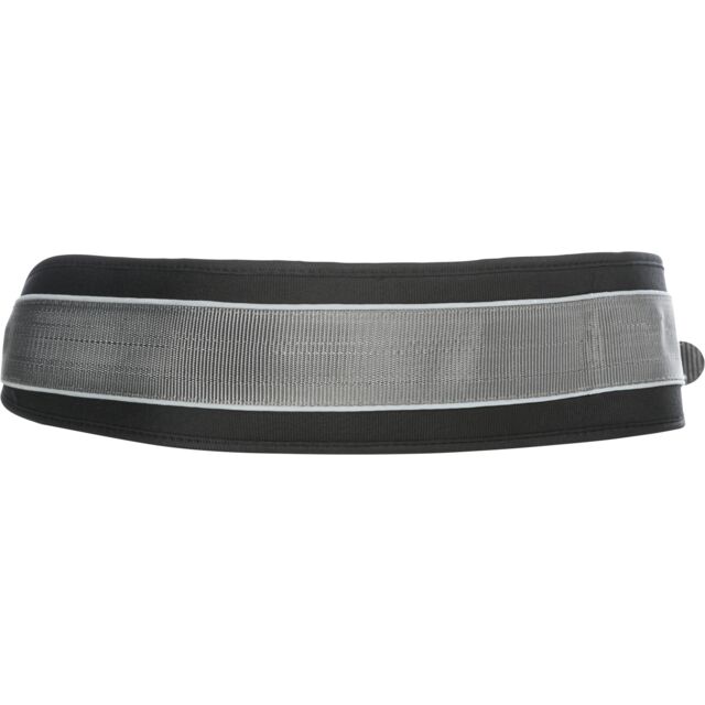 Waist Belt with Lead for Medium-Sized and Large Dogs