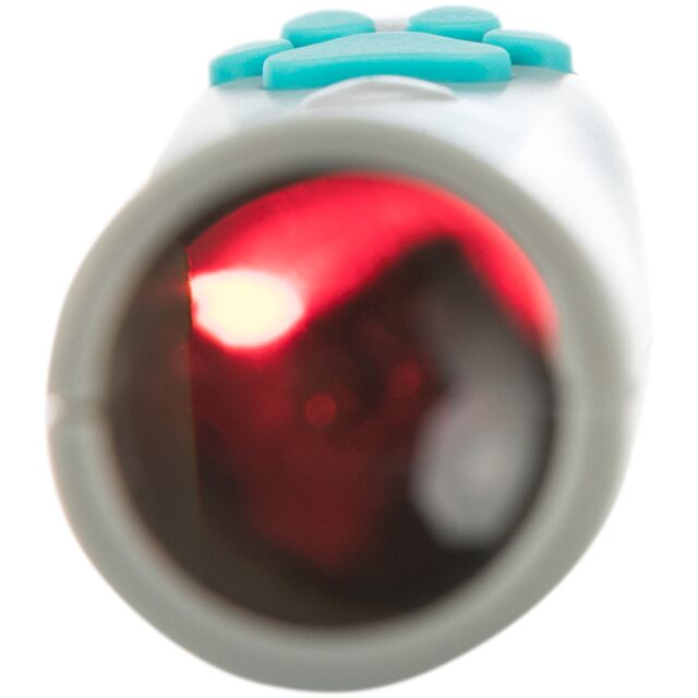 LED Pointer Catch the Light, Muis