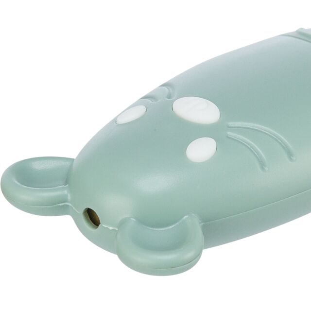 Laser Pointer Catch the Light, USB, 3 modi