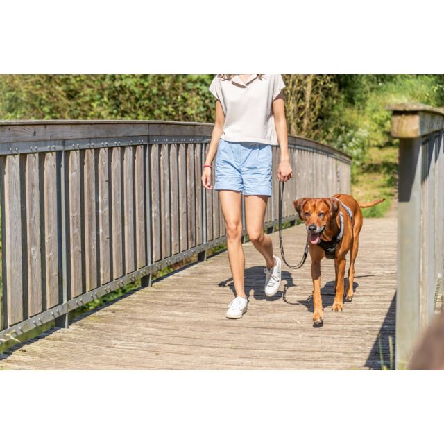 Premium Active Tuig Sangria