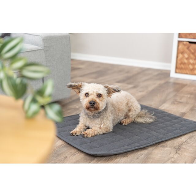 Honden Ligmat Calient donkergrijs