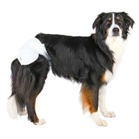 Diapers for Female Dogs