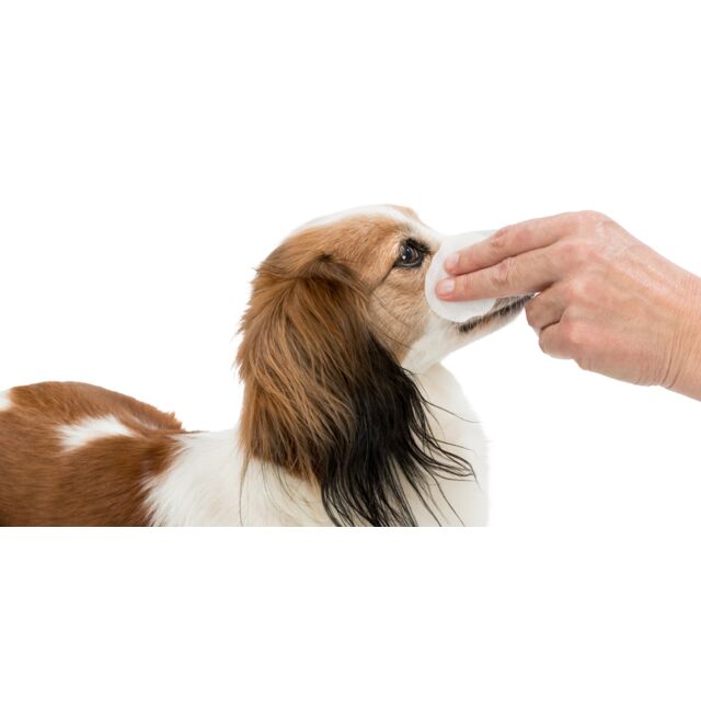 Eye-Care Single-use pads