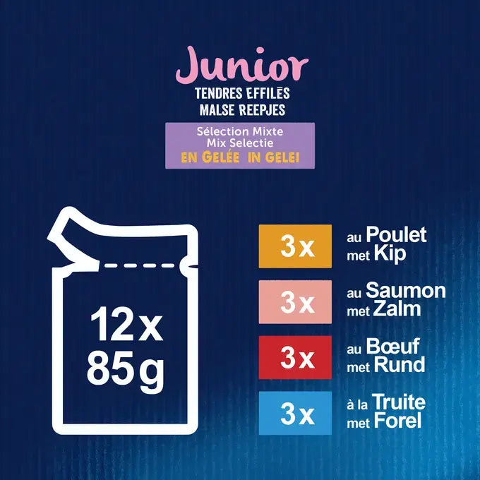 FELIX® MALSE REEPJES Junior Selectie met Vlees en Vis in Gelei 12x85g