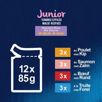 FELIX® MALSE REEPJES Junior Selectie met Vlees en Vis in Gelei 12x85g