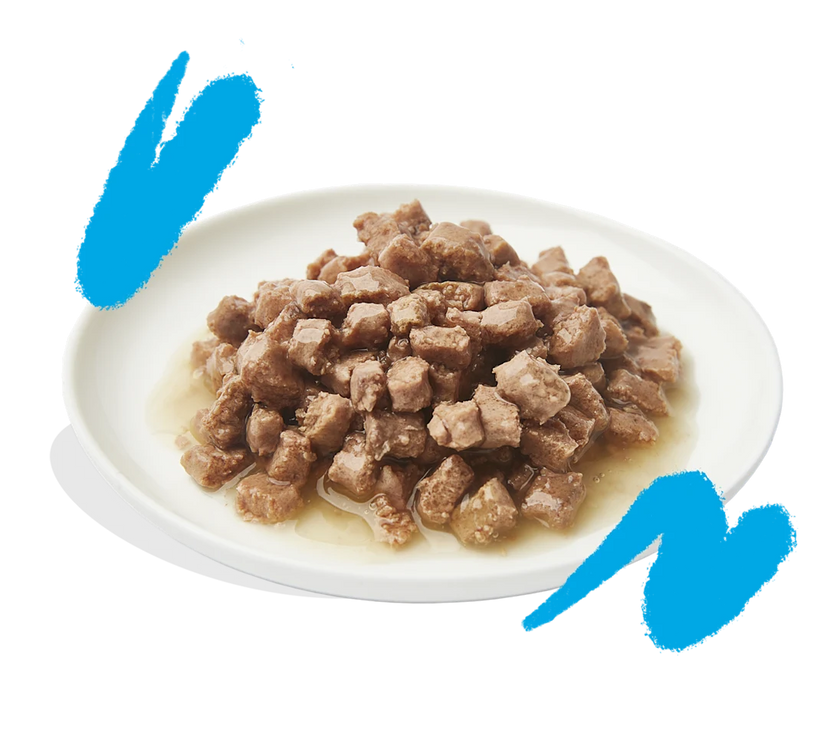 Zalm en Kip - Stukjes in Saus 85g