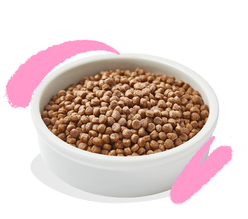 Graanvrije Brokjes met Verse Eend en Kip Kitten
