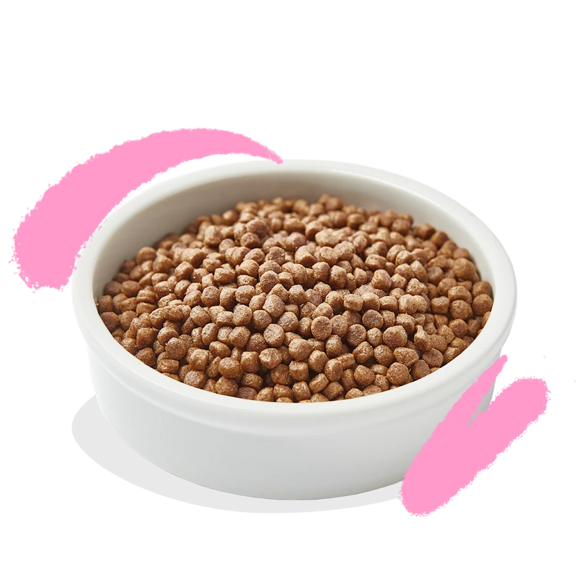 Graanvrije Brokjes met Verse Eend en Kip Kitten