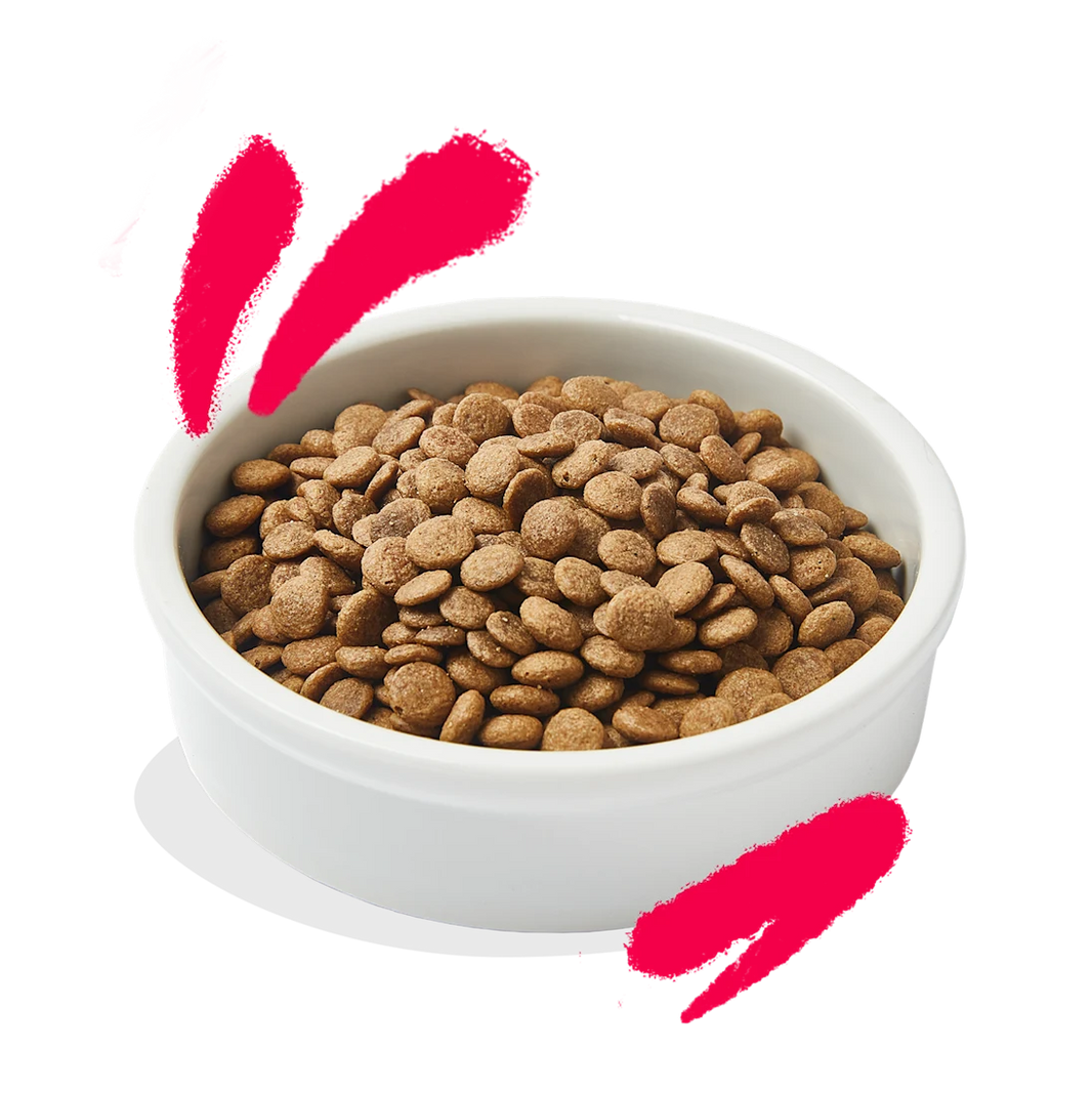 Graanvrije Brokjes met Verse Kip en Kalkoen Senior 2kg