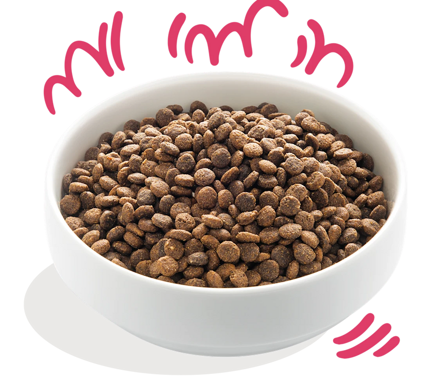 Glutenvrije Brokjes met Vers Biorund & Verse Biokip met Vrije Uitloop
