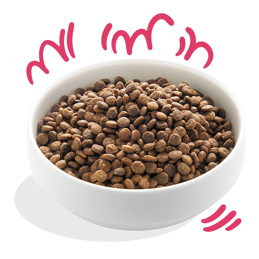 Glutenvrije Brokjes met Vers Biorund & Verse Biokip met Vrije Uitloop