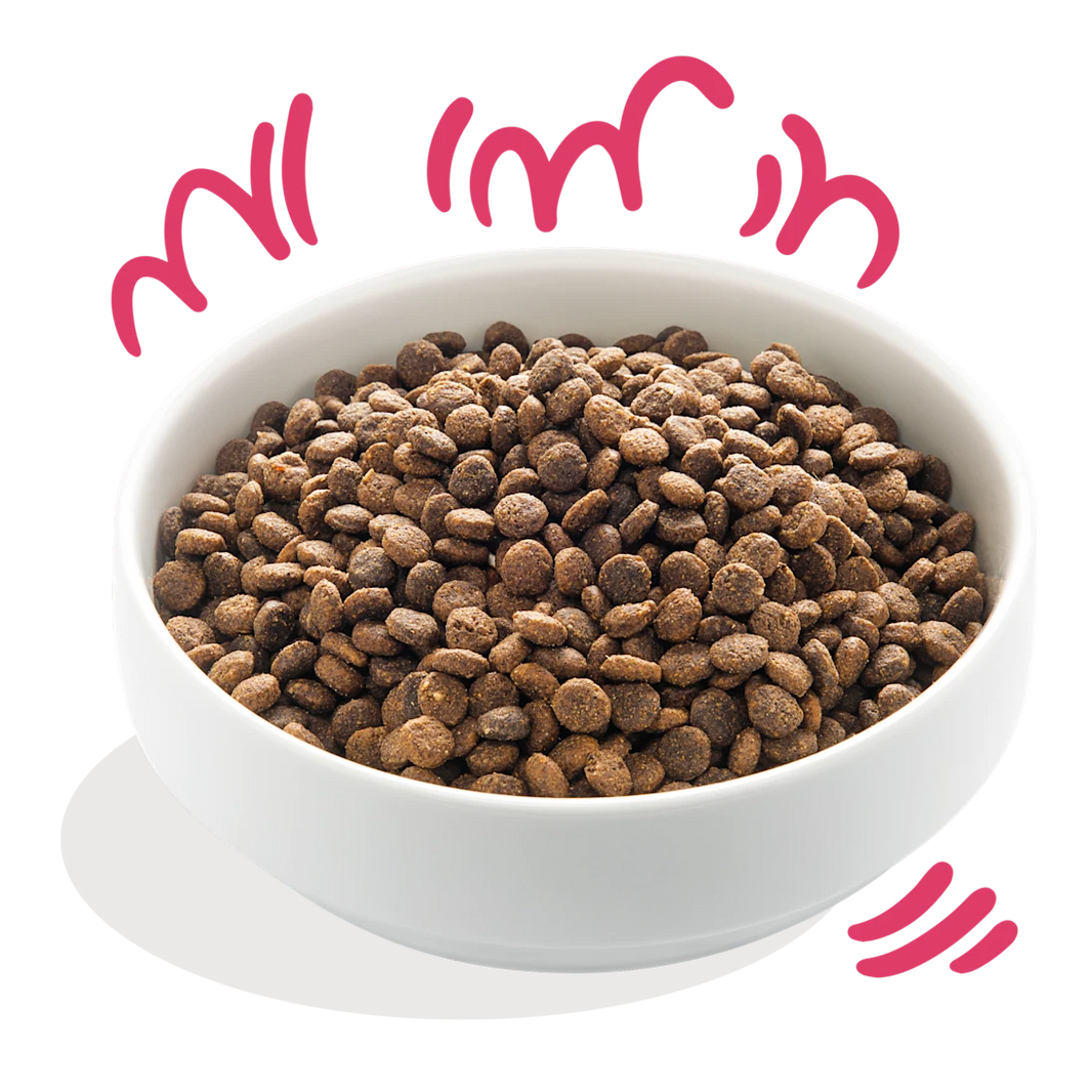 Glutenvrije Brokjes met Vers Biorund & Verse Biokip met Vrije Uitloop