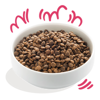 Glutenvrije Brokjes met Vers Biorund & Verse Biokip met Vrije Uitloop