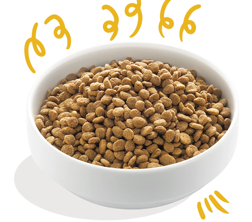 Glutenvrije Brokjes met Verse Biokalkoen & Biokip met Vrije Uitloop