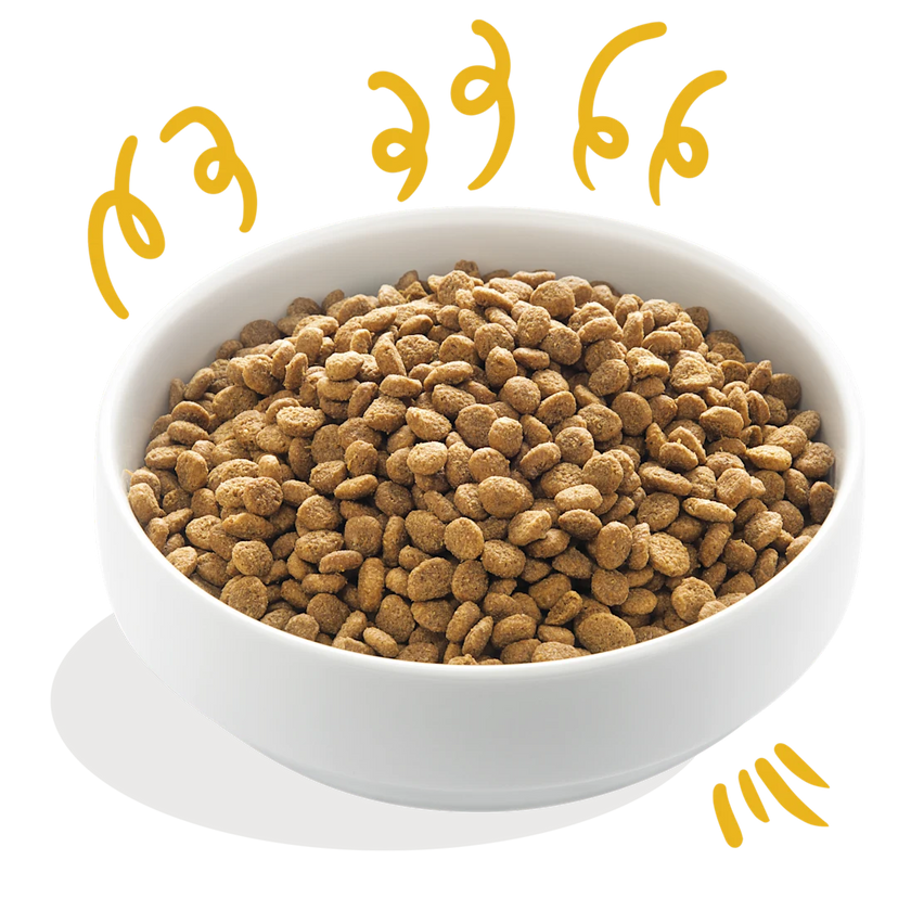 Glutenvrije Brokjes met Verse Biokalkoen & Biokip met Vrije Uitloop