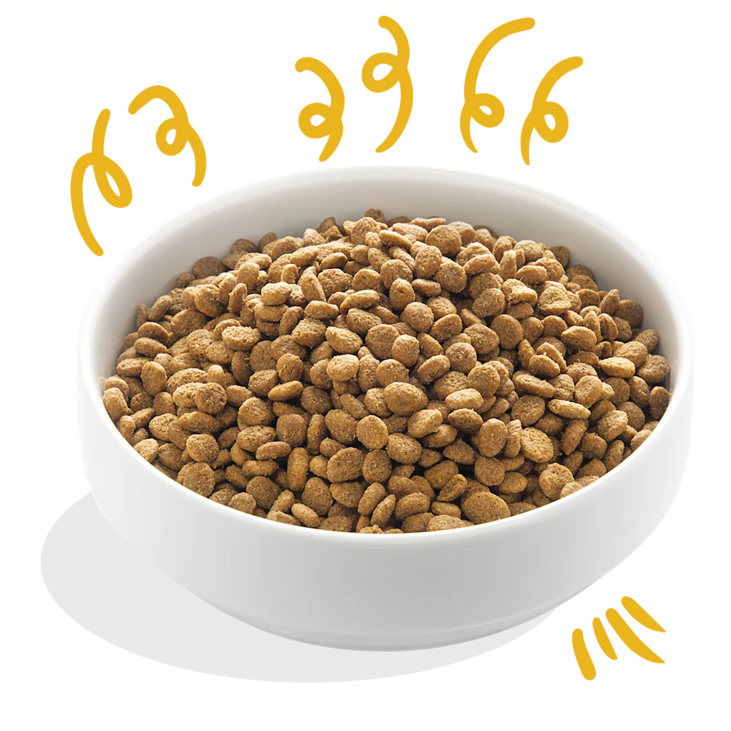 Glutenvrije Brokjes met Verse Biokalkoen & Biokip met Vrije Uitloop