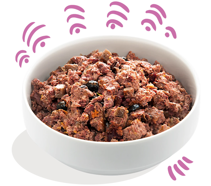 Wild & Eend 400g