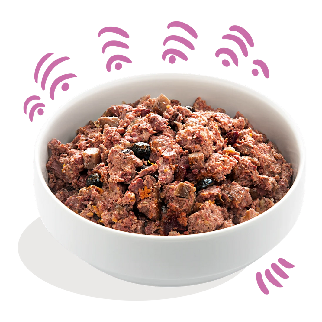 Wild & Eend 400g