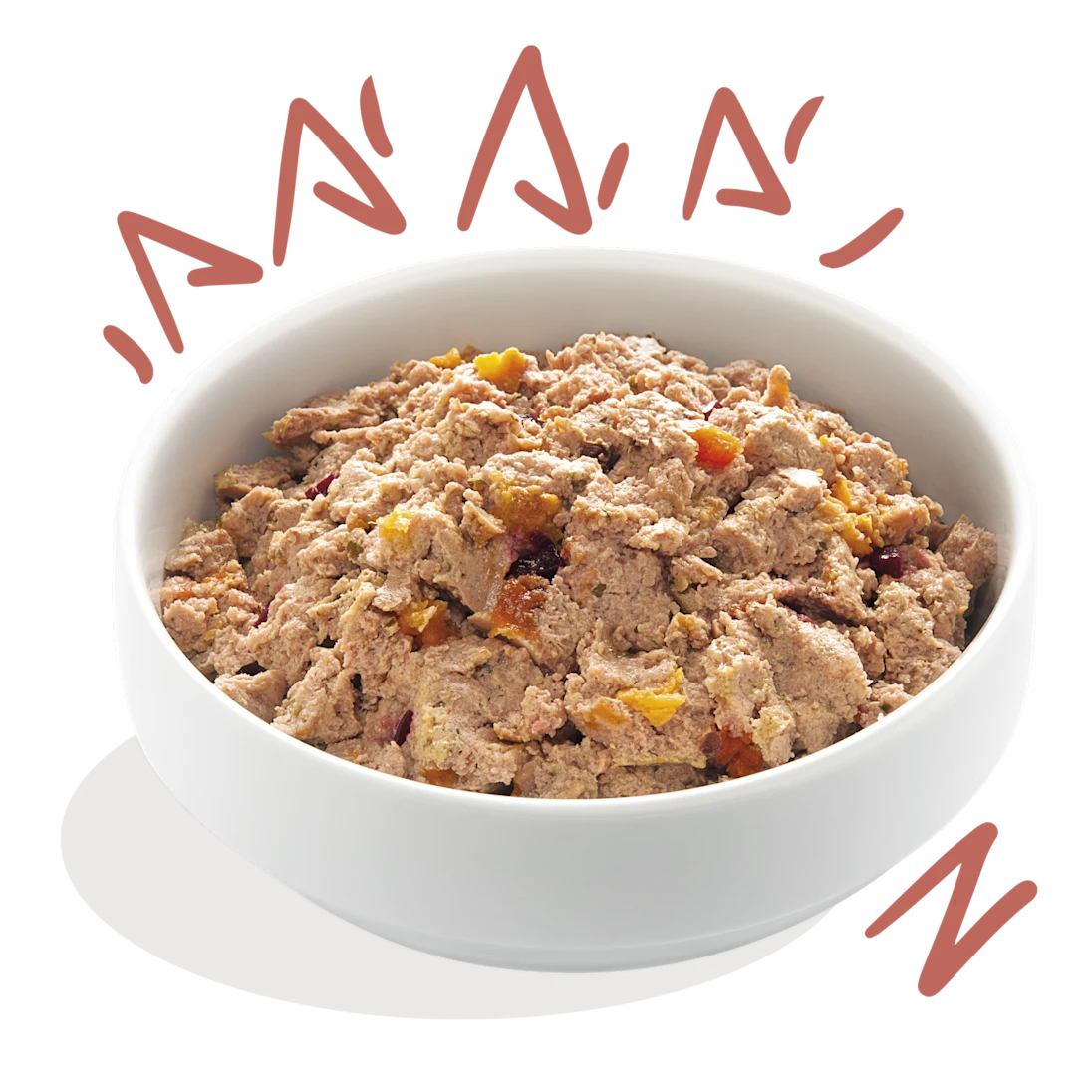 Kip & Zalm Senior 150g