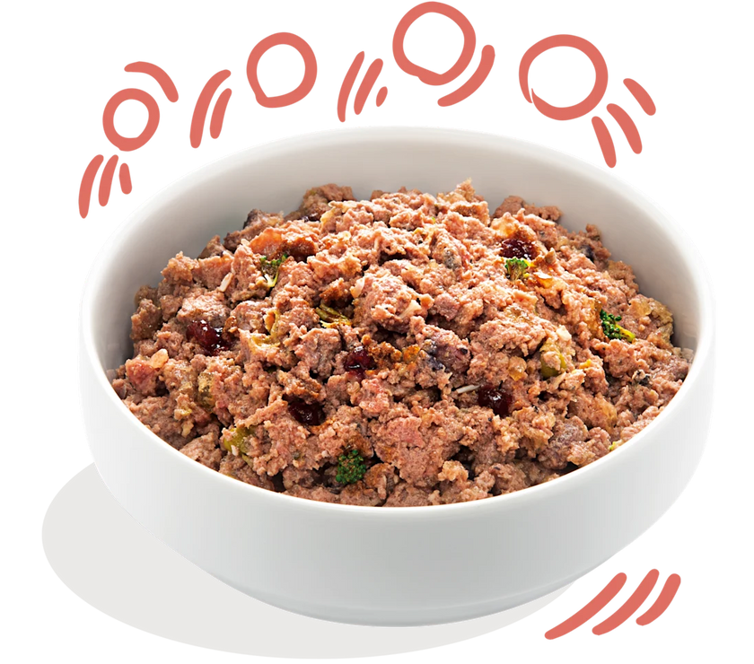 Kip & ASC-Zalm Senior 400g