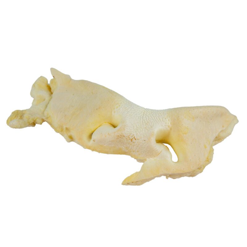 Runderneus Natuurlijke hondensnack