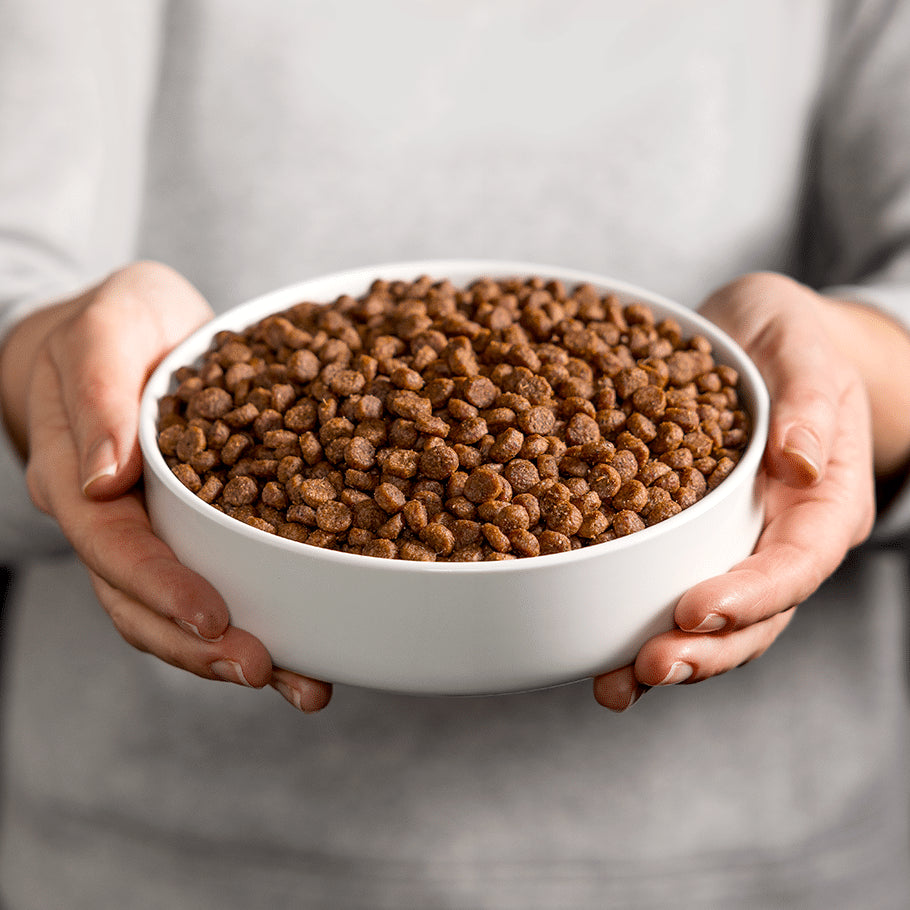 Chiot Mini &amp; Medium