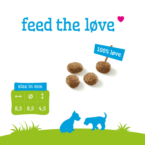 Chiot Mini &amp; Medium