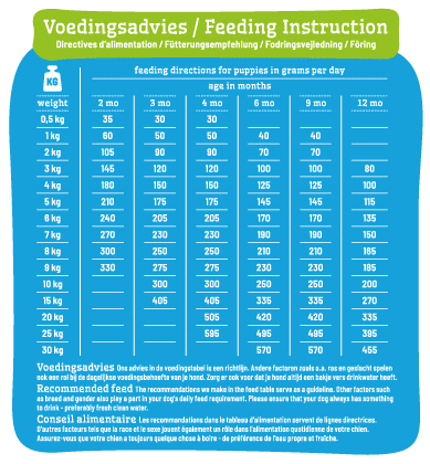 Chiot Mini &amp; Medium
