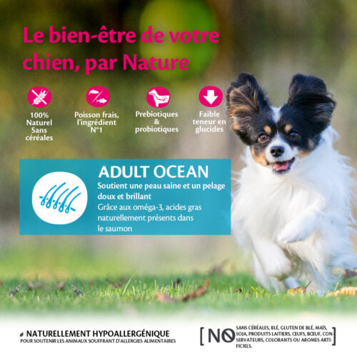 Graanvrij brokjes Small Breed Adult Ocean, zalm met tonijn