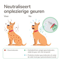 Natte Hond Spray Probiotica 250ml