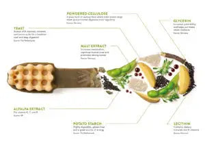 WHIMZEES® Toothbrush