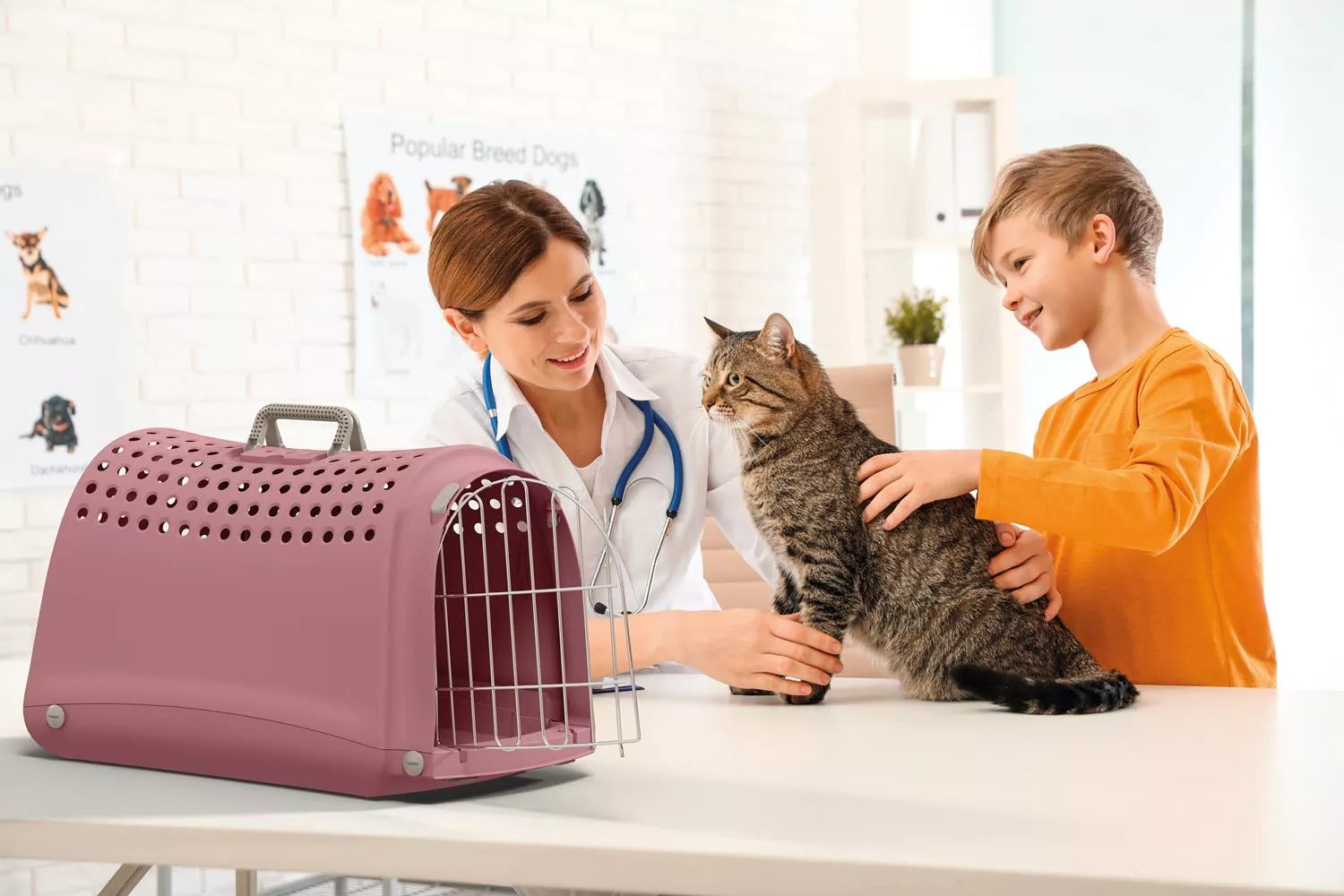 Reismand - LINUS Roze (52.5x32x34.5)