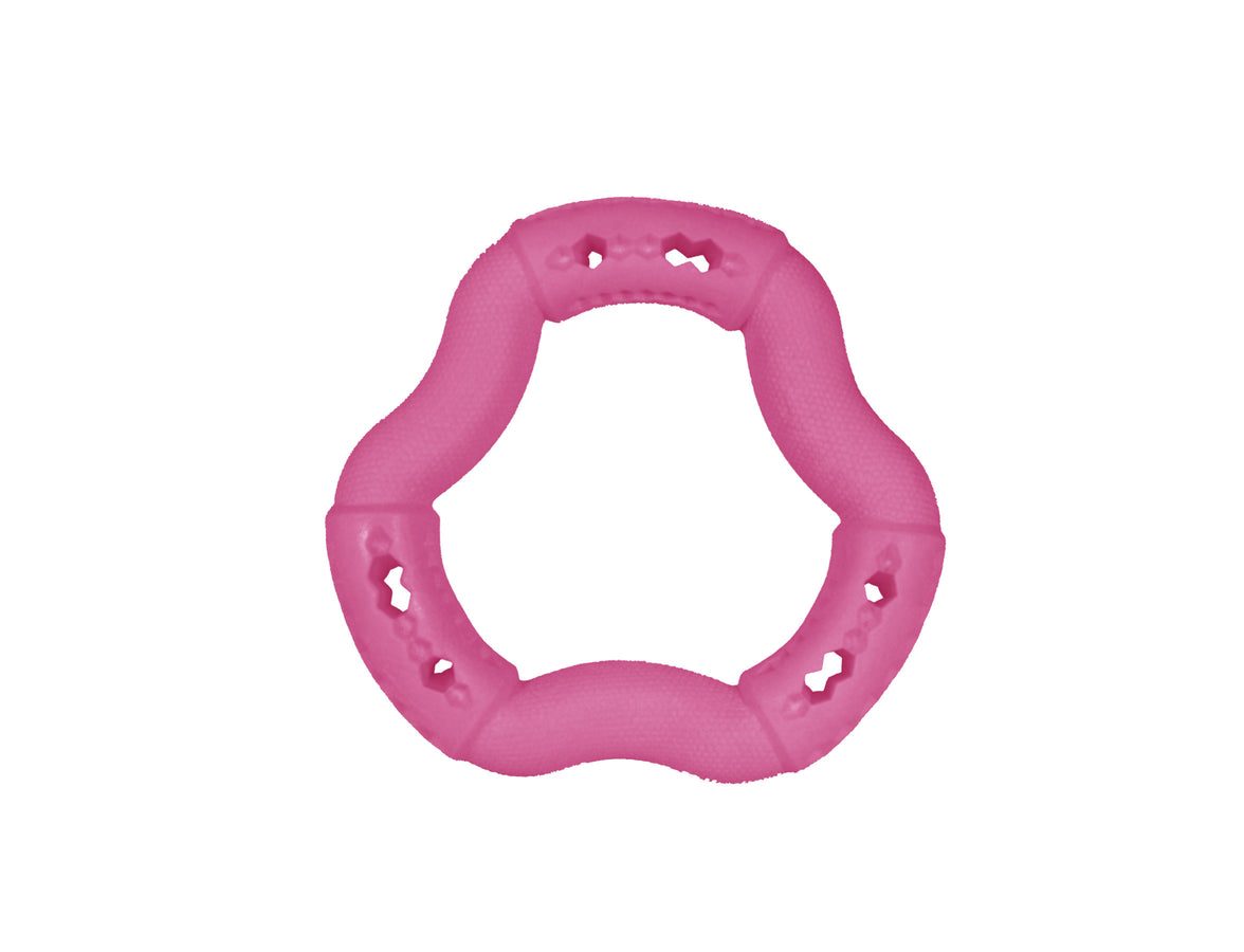 Toy dog ​​TPR ring Red Frutti 12cm 