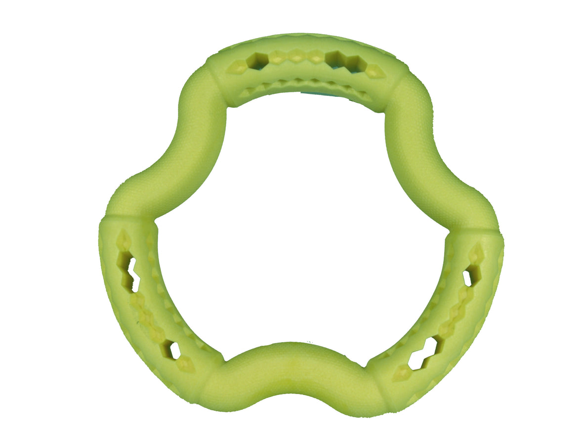 Toy dog ​​TPR ring Green Apple 21cm