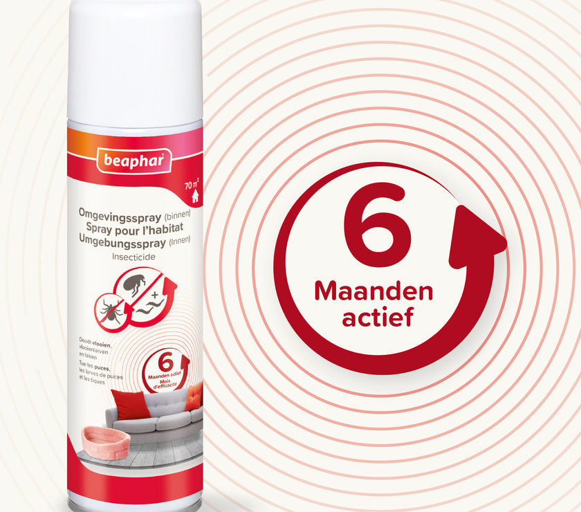 Environmental spray 6 months 
