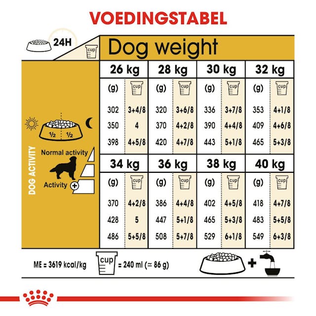 Golden Retriever Adult 12kg