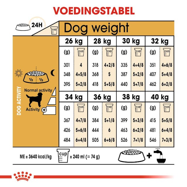 Labrador Retriever Adult 12kg
