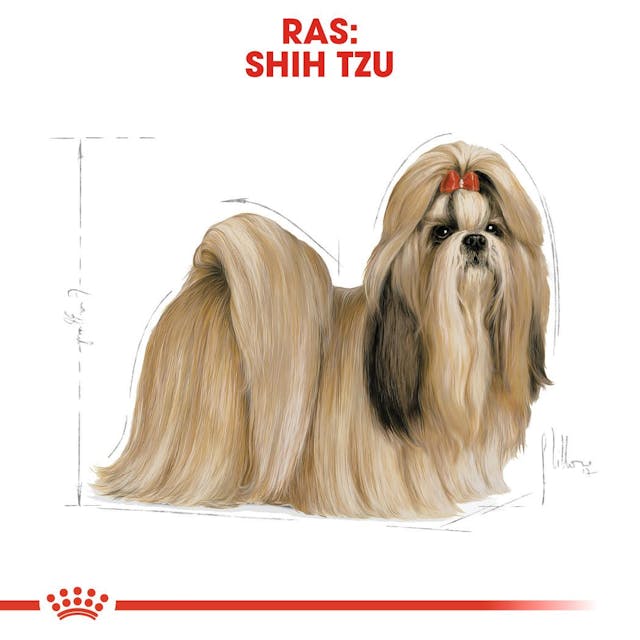 Shih Tzu Adult 1.5kg