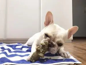 WHIMZEES® ALLIGATOR