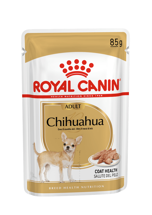 Chihuahua Adulte en Pain (pâté en sauce) 12x85g