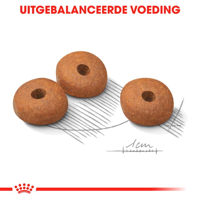 Light Weight Care Mini