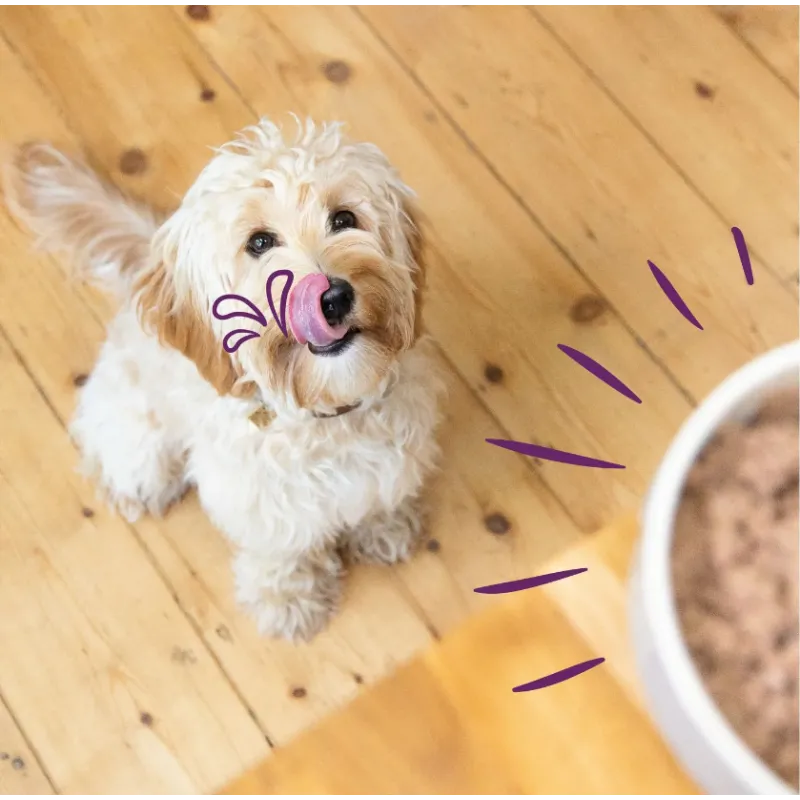 Multipack Kuipje 6x100g