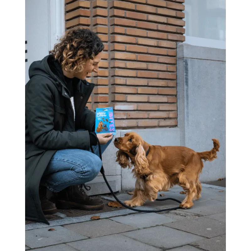 Grote Bites - Zalm en Kip 50g