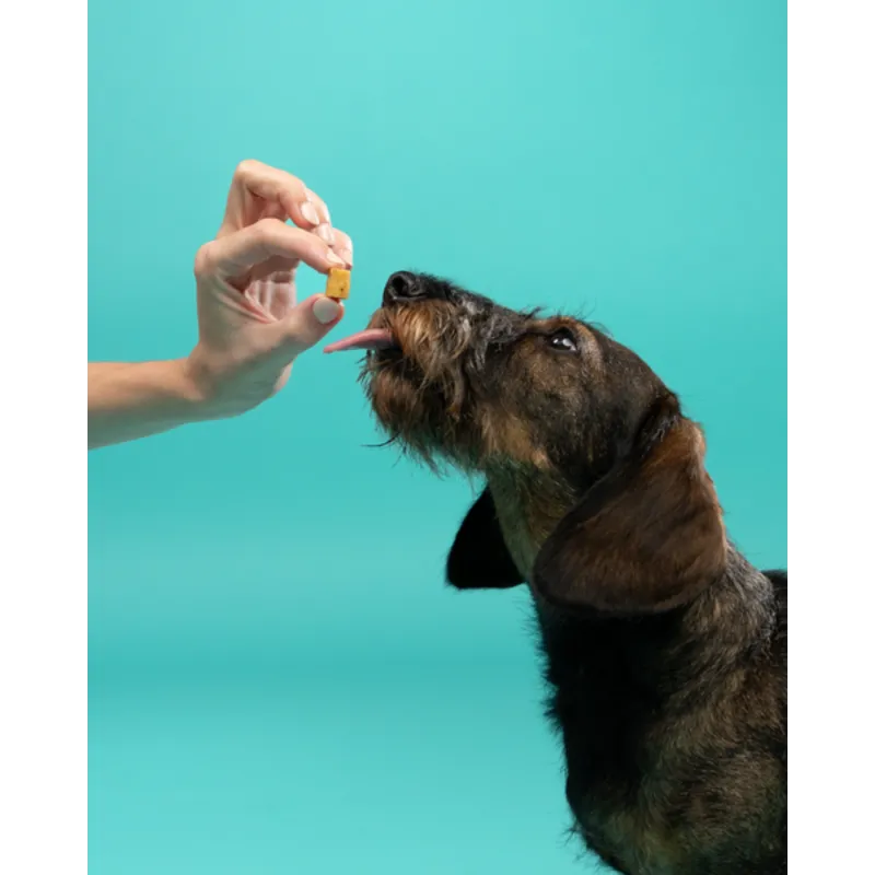 Kleine Bites - Lam en Kalkoen 50g