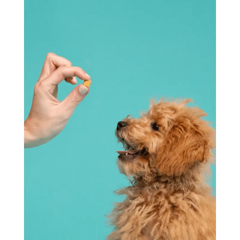 Kleine Bites Puppy - Eend en Kip