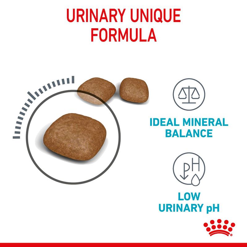 Urinary Care